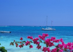 Mon troisi&egrave;me voyage &agrave; l'Ile Maurice 