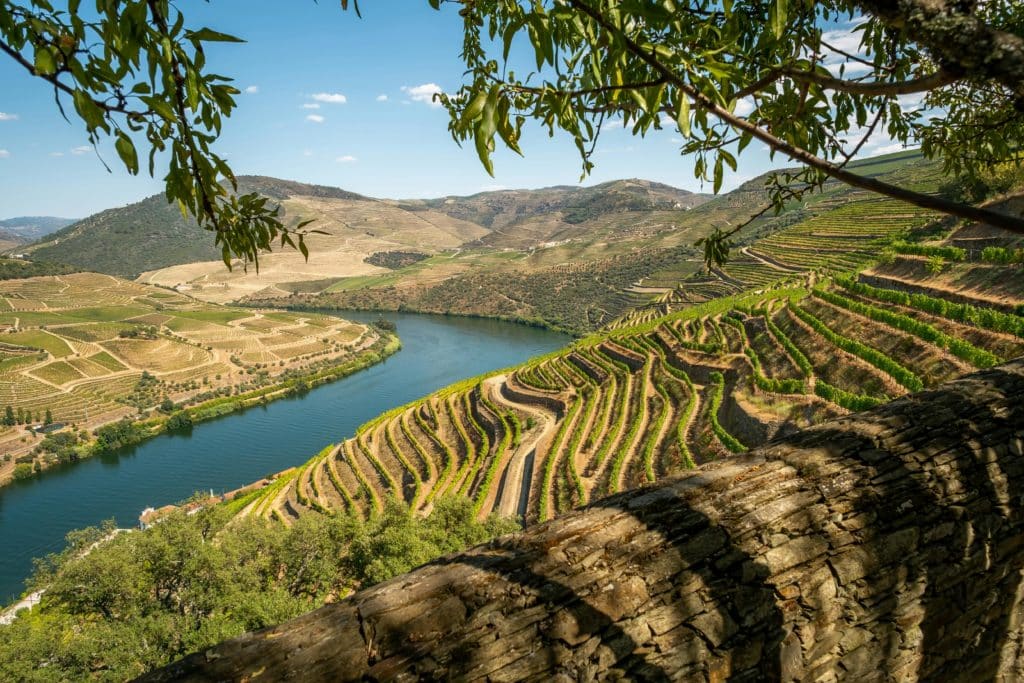Anniversaire de mariage Porto et la Vallée du Douro (Europe) - Octobre 2021 - Road Trip