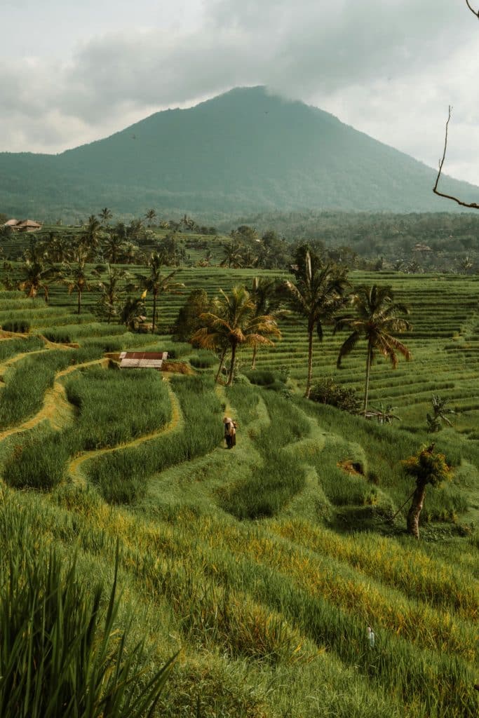 Voyage de noce sur mesure - Bali - Septembre 2017 - 