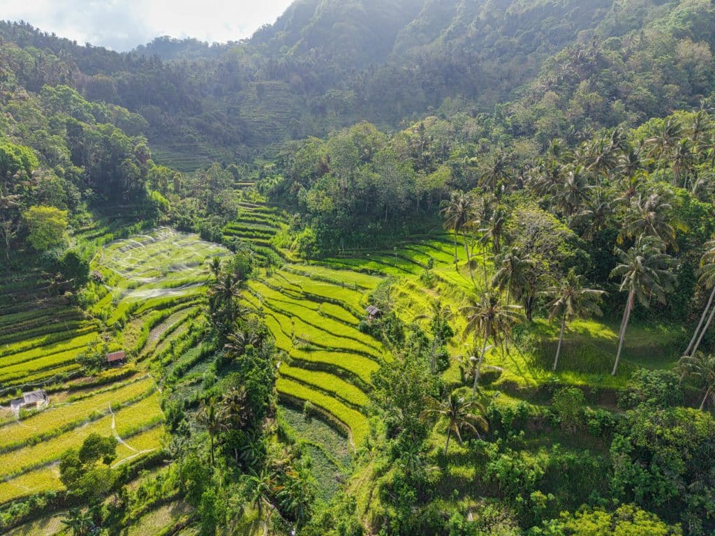 Voyage sur mesure à Bali (Indonésie)- Septembre 2016 - 